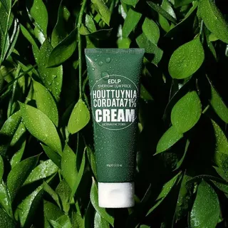 Derma Factory Edlp Houttuynia Cordata 71% Cream